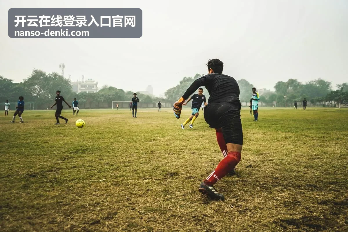 开云在线登录入口官网资讯公告阅读场景
